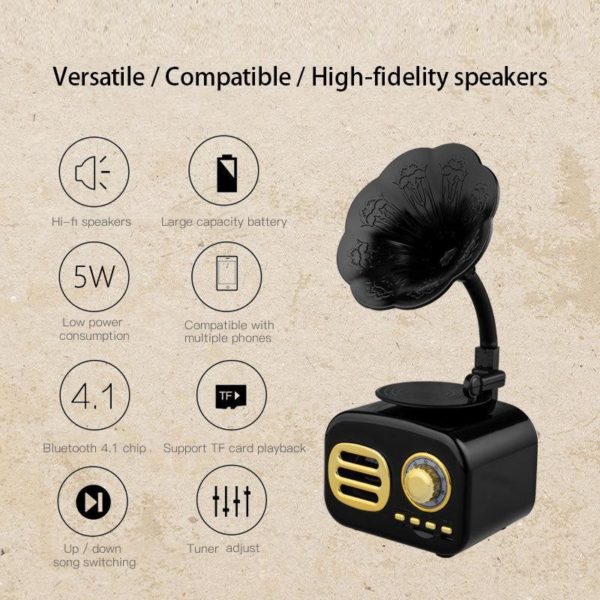 BT Speaker phonograph 4