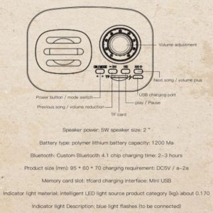 BT Speaker phonograph 5